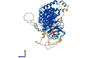 AlphaFold protein structure predicition of Human Recombinant WDTC1 Protein, UniprotID Q8N5D0