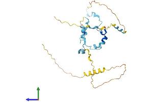 Protein Structure (PS) image for Mediator Complex Subunit 19 (MED19) (AA 1-244) protein (His tag) (ABIN7559108)
