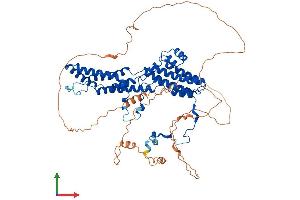 Protein Structure (PS) image for Bestrophin 3 (BEST3) (AA 1-668) protein (His tag) (ABIN7552562)