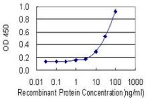Detection limit for recombinant GST tagged ADH5 is 1 ng/ml as a capture antibody. (ADH5 抗体  (AA 1-374))