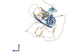 Protein Structure (PS) image for Mitogen-Activated Protein Kinase Kinase Kinase 10 (MAP3K10) (AA 1-940) protein (His tag) (ABIN7557867)
