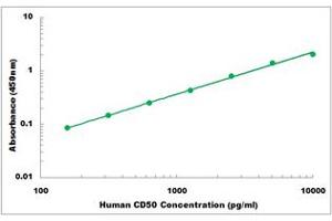 Representative Standard Curve (ICAM-3/CD50 ELISA 试剂盒)
