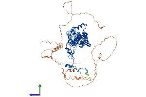 Protein Structure (PS) image for Bestrophin 3 (BEST3) (AA 1-668) protein (His tag) (ABIN7552562)