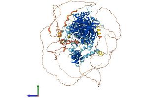 AlphaFold protein structure predicition of Mouse Recombinant Drosha Protein, UniprotID Q5HZJ0 (DROSHA Protein (AA 1-1373) (His tag))