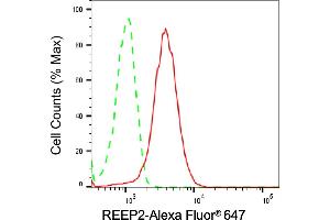 Flow cytometric analysis of REEP2 expression in HeLa cells using REEP2 antibody (ABIN7800153), 1:1,000). (REEP2 抗体)
