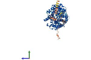 Protein Structure (PS) image for Solute Carrier Family 6 (Neurotransmitter Transporter, L-Proline), Member 7 (SLC6A7) (AA 1-636) protein (His tag) (ABIN7545965)