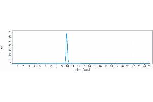 anti-ICAM1 (Bersanlimab Biosimilar) antibody