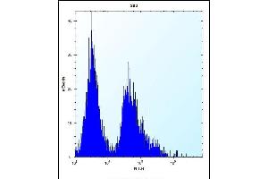 GSTT1 Antibody (N-term) (ABIN656825 and ABIN2846035) flow cytometric analysis of 293 cells (right histogram) compared to a negative control cell (left histogram). (GSTT1 抗体  (N-Term))