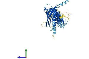 Protein Structure (PS) image for ERGIC and Golgi 3 (ERGIC3) (AA 1-383) protein (His tag) (ABIN7560537)