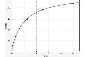 Alanyl (Membrane) Aminopeptidase (ANPEP) ELISA Kit