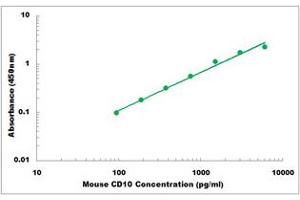 Representative Standard Curve (MME ELISA 试剂盒)