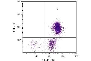 Chicken peripheral blood lymphocytes were stained with Mouse Anti-Chicken CD44-BIOT. (CD44 抗体  (Biotin))