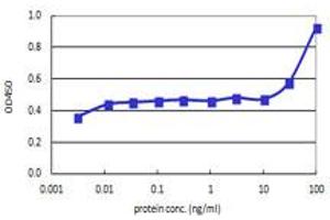 Sandwich ELISA detection sensitivity ranging from 10 ng/ml to 100 ng/ml.