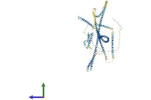 Protein Structure (PS) image for ELKS/RAB6-Interacting/CAST Family Member 1 (ERC1) (AA 1-1116) protein (His tag) (ABIN7555123)