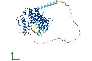 Protein Structure (PS) image for Cyclin-Dependent Kinase-Like 4 (CDKL4) (AA 1-379) protein (His tag) (ABIN7553066)