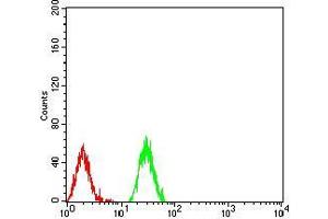 Flow cytometric analysis of Raji cells using HIST2H3C(27Ac) mouse mAb (green) and negative control (red). (Histone Cluster 2, H3c (HIST2H3C) (acLys27) 抗体)