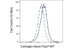 Validation of Calmegin knockdown using flow cytometry. (Recombinant Calmegin 抗体)
