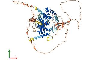 Protein Structure (PS) image for TBC1 Domain Family, Member 3 (TBC1D3) (AA 1-549) protein (His tag) (ABIN7544167)