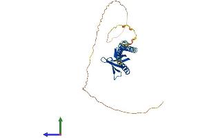 Protein Structure (PS) image for Pleckstrin Homology Domain Containing Family A3 (PLEKHA3) (AA 1-300) protein (His tag) (ABIN7550737)