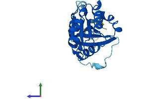 Protein Structure (PS) image for ADP-Ribosylation Factor Related Protein 1 (ARFRP1) (AA 1-201) protein (His tag) (ABIN7552236)