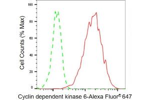 Flow cytometric analysis of Cyclin dependent kinase 6 expression in HAP-1 cells using Cyclin dependent kinase 6 antibody ( (ABIN7798220), 1:2,000). (Recombinant CDK6 抗体)