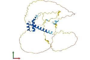 AlphaFold protein structure predicition of Mouse Recombinant Msx1 Protein, UniprotID P13297