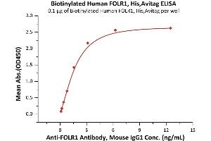 Immobilized Folic acid-BSA conjugate at 5 μg/mL (100 μL/well) can bind Biotinylated Human FOLR1, His,Avitag (ABIN5954995,ABIN6253622) with a linear range of 8-125 ng/mL (QC tested). (FOLR1 Protein (AA 25-233) (His tag,AVI tag,Biotin))