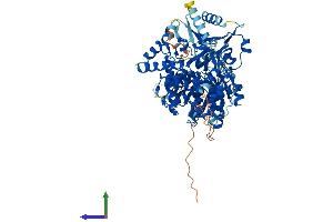 AlphaFold protein structure predicition of Human Recombinant DHX32 Protein, UniprotID Q7L7V1