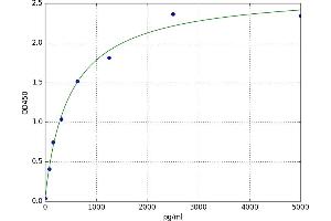 A typical standard curve (Dickkopf-Like 1 (DKKL1) ELISA 试剂盒)
