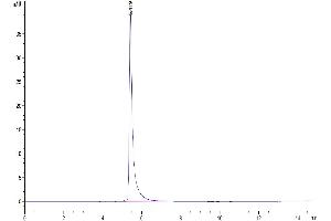 Size-exclusion chromatography-High Pressure Liquid Chromatography (SEC-HPLC) image for Integrin AlphaV Beta6 (ITGAV/ITGB6) (AA 31-988) protein (His tag) (ABIN7275074)