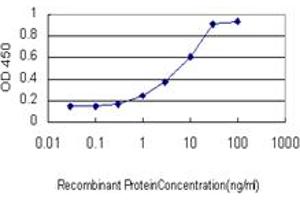 Detection limit for recombinant GST tagged ETV1 is approximately 1ng/ml as a capture antibody. (ETV1 抗体  (AA 148-257))
