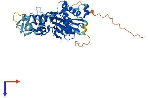 Protein Structure (PS) image for Actin-Related Protein 10 Homolog (ACTR10) (AA 1-417) protein (His tag) (ABIN7552324)