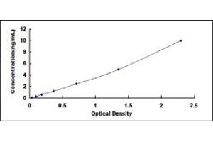 Typical standard curve (SDCBP2 ELISA 试剂盒)