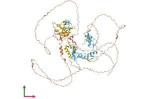 Protein Structure (PS) image for PR Domain Containing 4 (PRDM4) (AA 1-803) protein (His tag) (ABIN7558352)