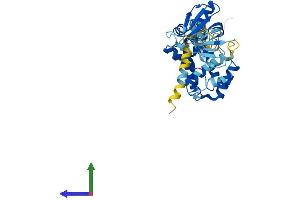 Protein Structure (PS) image for Cytohesin 2 (CYTH2) (AA 1-400) protein (His tag) (ABIN7546896)