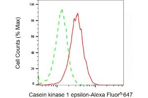 Flow cytometric analysis of Casein kinase 1 epsilon expression in HT- cells using Casein kinase 1 epsilon antibody ( (ABIN7797881), 1:2,000). (CK1 epsilon 抗体)