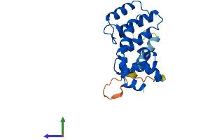 AlphaFold protein structure predicition of Human Recombinant RGS5 Protein, UniprotID O15539