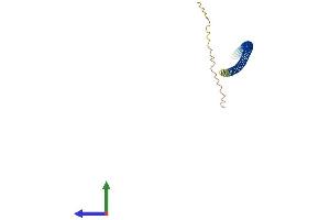 Protein Structure (PS) image for Family with Sequence Similarity 9, Member B (FAM9B) (AA 1-186) protein (His tag) (ABIN7547691)