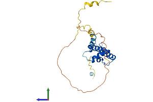 AlphaFold protein structure predicition of Human Recombinant DNAJC12 Protein, UniprotID Q9UKB3