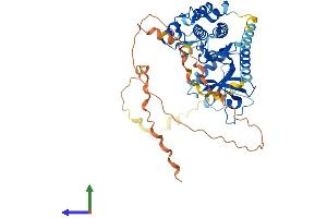 Protein Structure (PS) image for Protein Kinase, Membrane Associated tyrosine/threonine 1 (PKMYT1) (AA 1-490) protein (His tag) (ABIN7561468)