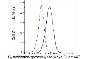 Validation of Cystathionine gamma-lyase knockdown using flow cytometry.