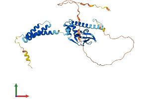 Protein Structure (PS) image for Popeye Domain Containing 2 (POPDC2) (AA 1-364) protein (His tag) (ABIN7550841)