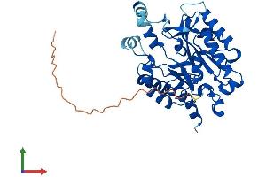 Protein Structure (PS) image for Phosphatidylinositol-Specific phospholipase C, X Domain Containing 1 (PLCXD1) (AA 1-345) protein (His tag) (ABIN7559344)