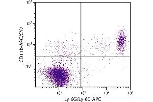 BALB/c mouse splenocytes were stained with Rat Anti-Mouse CD11b-APC/CY7. (CD11b 抗体  (APC-Cy7))