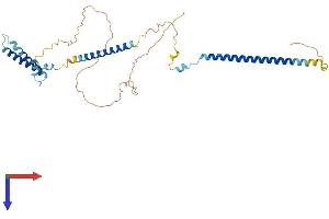 DSN1 Protein (AA 1-348) (His tag)