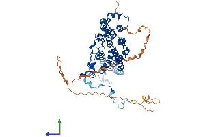 Protein Structure (PS) image for Bestrophin 2 (BEST2) (AA 1-509) protein (His tag) (ABIN7552666)