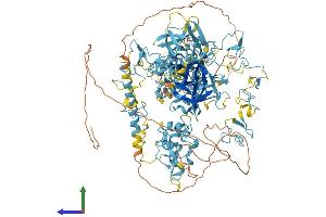 Protein Structure (PS) image for Corin, Serine Peptidase (CORIN) (AA 1-1113) protein (His tag) (ABIN7565308)