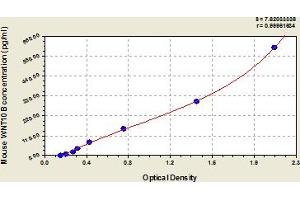Typical Standard Curve (WNT10B ELISA 试剂盒)