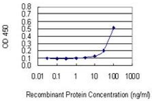 Detection limit for recombinant GST tagged RNF180 is 3 ng/ml as a capture antibody. (RNF180 抗体  (AA 1-100))