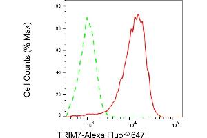 Flow cytometric analysis of TRIM7 expression in HeLa cells using TRIM7 antibody (ABIN7800643), 1:2,000). (TRIM7 抗体)